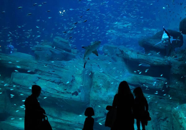 Aquarium de Paris