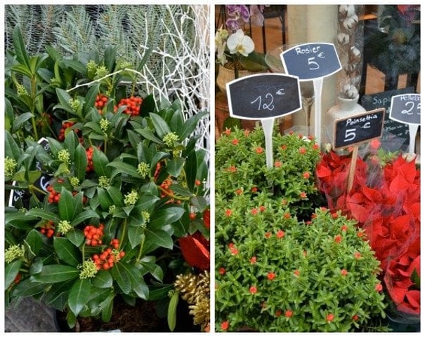 Christmas Charm in the 7th Arrondissement