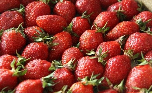 Recipe for Gratin de Fraises au Sabayon de Champagne