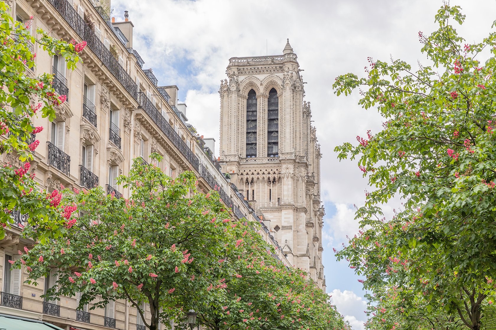 Notre Dame Paris vacation rental