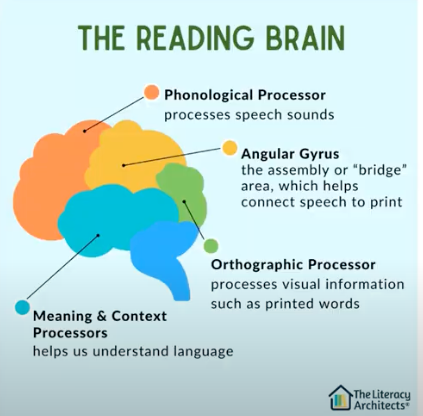 supporting literacy development